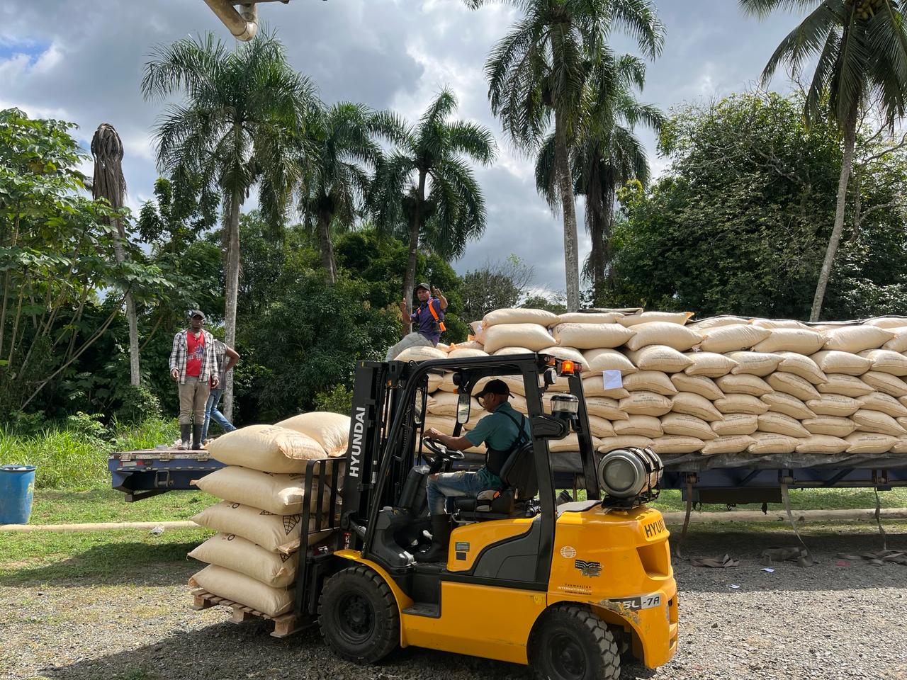 Feb 1st, first cocoa conmsignment