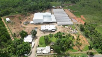 Factory aerial
